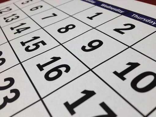 BVV Sitzungskalender, Bezirksamt Treptow-Köpenick
