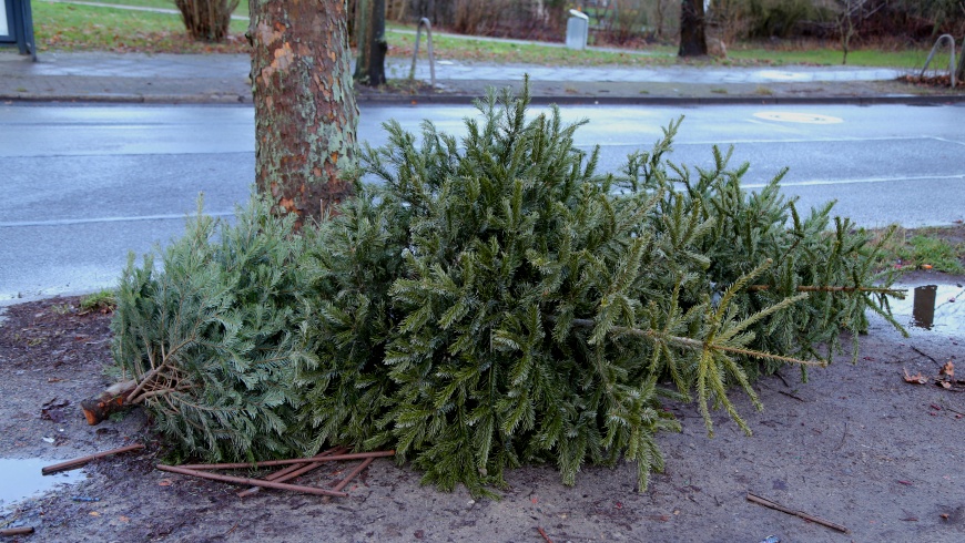 BSR Weihnachtsbaum-Entsorgung