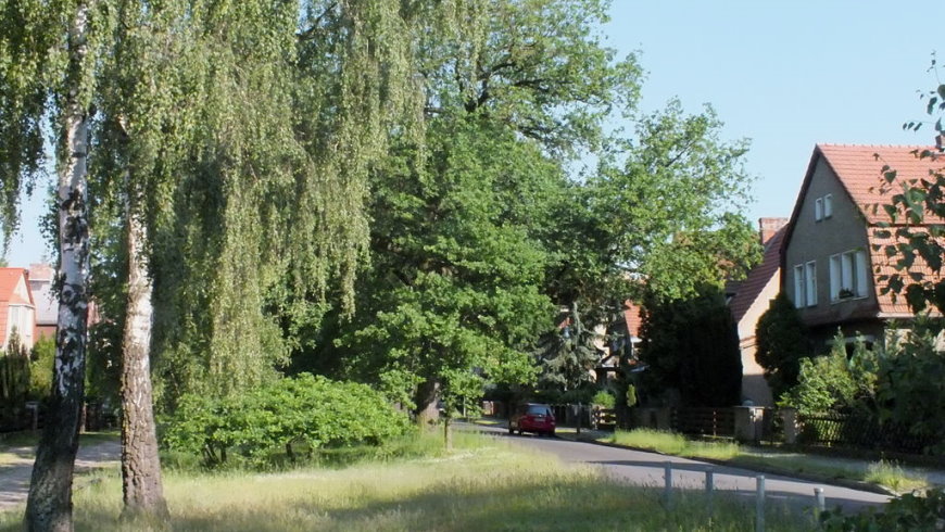 Straße „Unter den Birken“