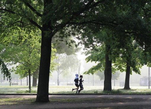 Joggen im Park