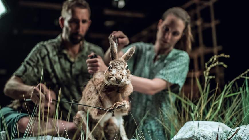 Still life | Puppentheater Ljubljana