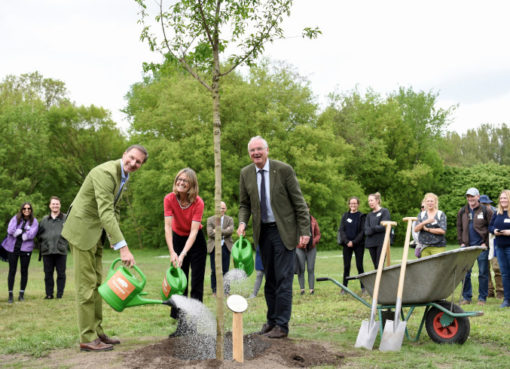 The Queen's Green Canopy - Baumpflanzung zum 70. Jubiläum von Königin Elisabeth