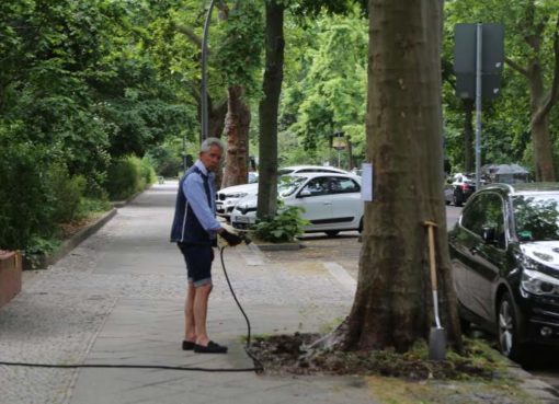 Stadtbäume bewässern!