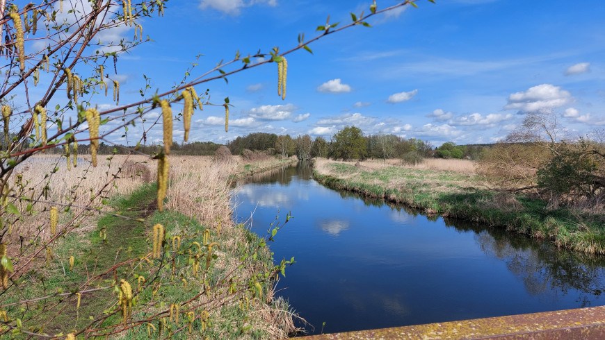 Pfefferfließ bei Stangenhagen
