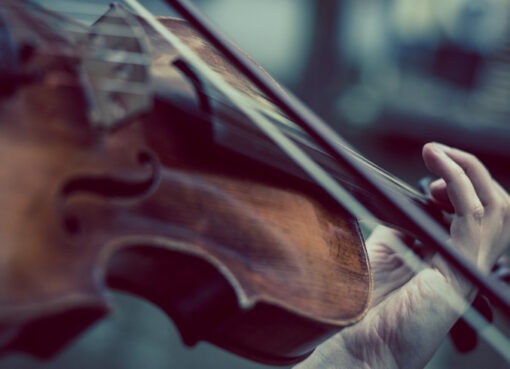 Violine