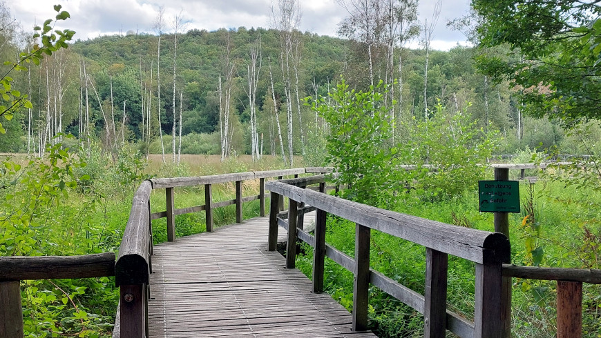 Holzsteg durch das Teufelsseemoor