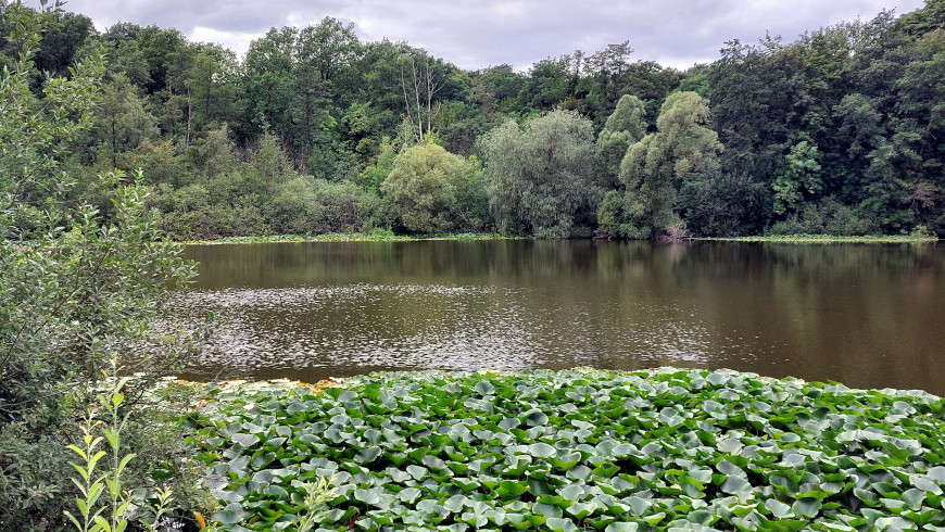 Blick auf den Teufelssee in Köpenick