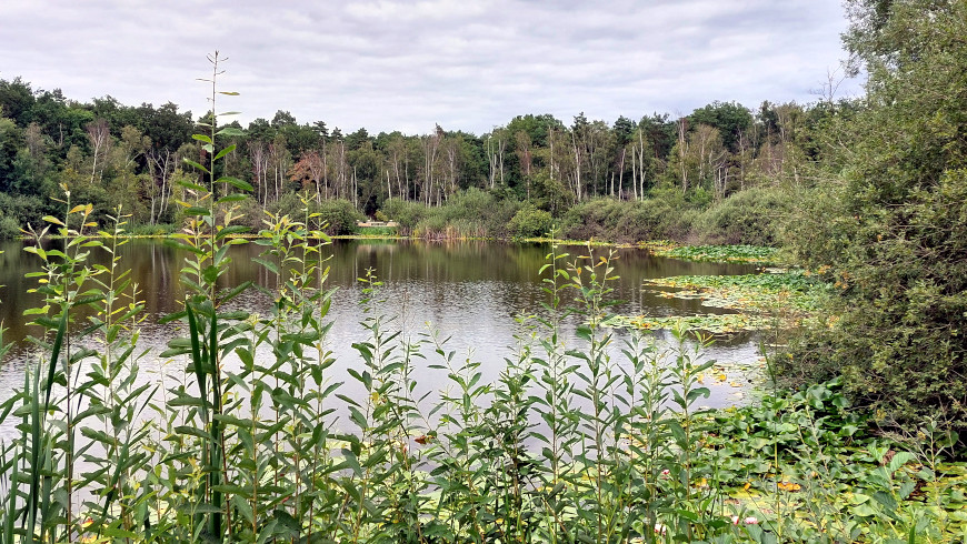 Der Teufelsee ist eine Naturoase.